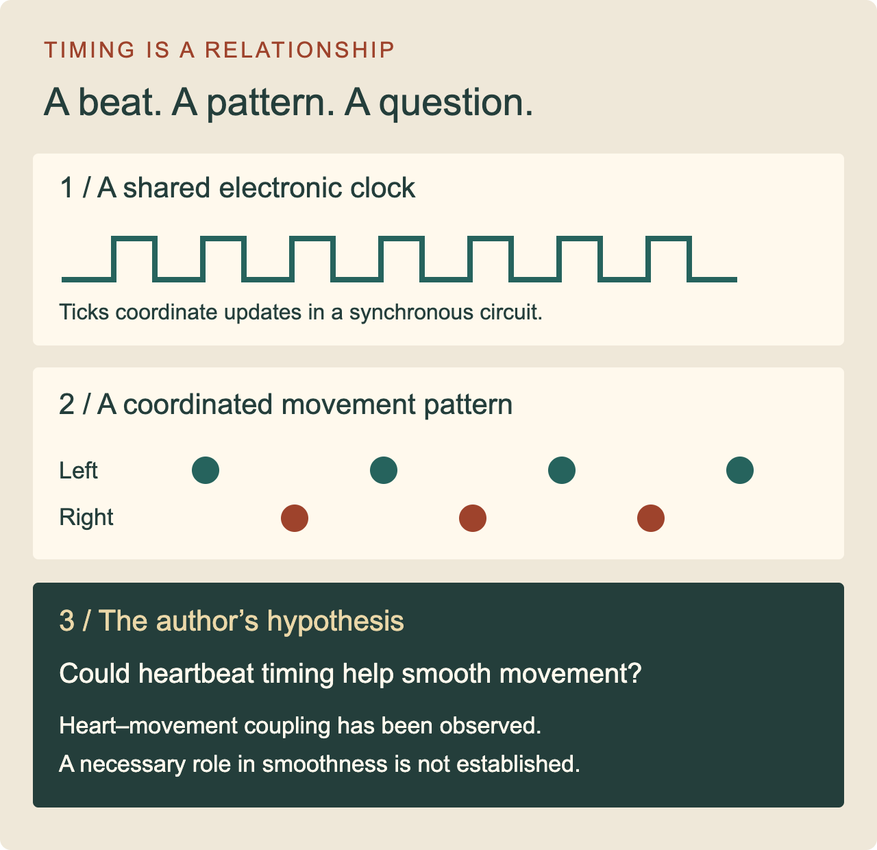 Three panels: a square-wave electronic clock signal that ticks to coordinate a computer chip; a left-right stepping pattern; and the author's hypothesis, asking whether heartbeat timing could help smooth movement, noting that heart-movement coupling has been observed but a necessary role in smoothness is not established.